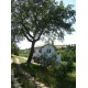 Properties for Sale_RESTORED FARMHOUSE NEAR THE SEA in the Municipality of Montefiore dell'Aso province of Ascoli Piceno in the Marche in Italy in Le Marche_24